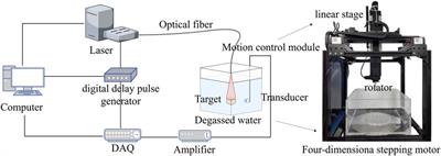 Registration of photoacoustic tomography vascular images: Comparison and analysis of automatic registration approaches